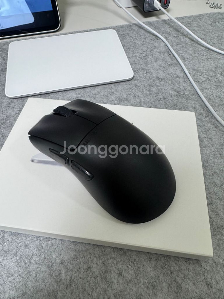 펄사 xlite v3 라지--1