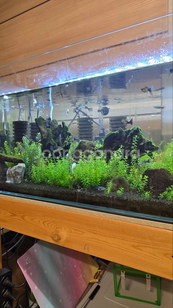 구피 어항 용품--4