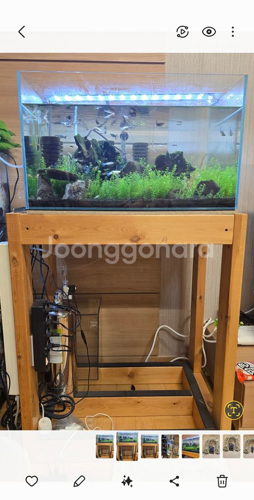 구피 어항 용품--1