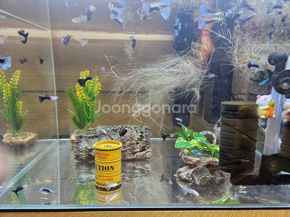 구피 어항 용품--6