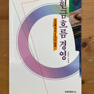 현금흐름 경영 : 도산을 막는 49가지 방법 - 조영빈