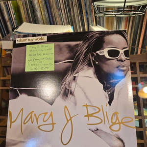 Mary J. Blige.share my world.