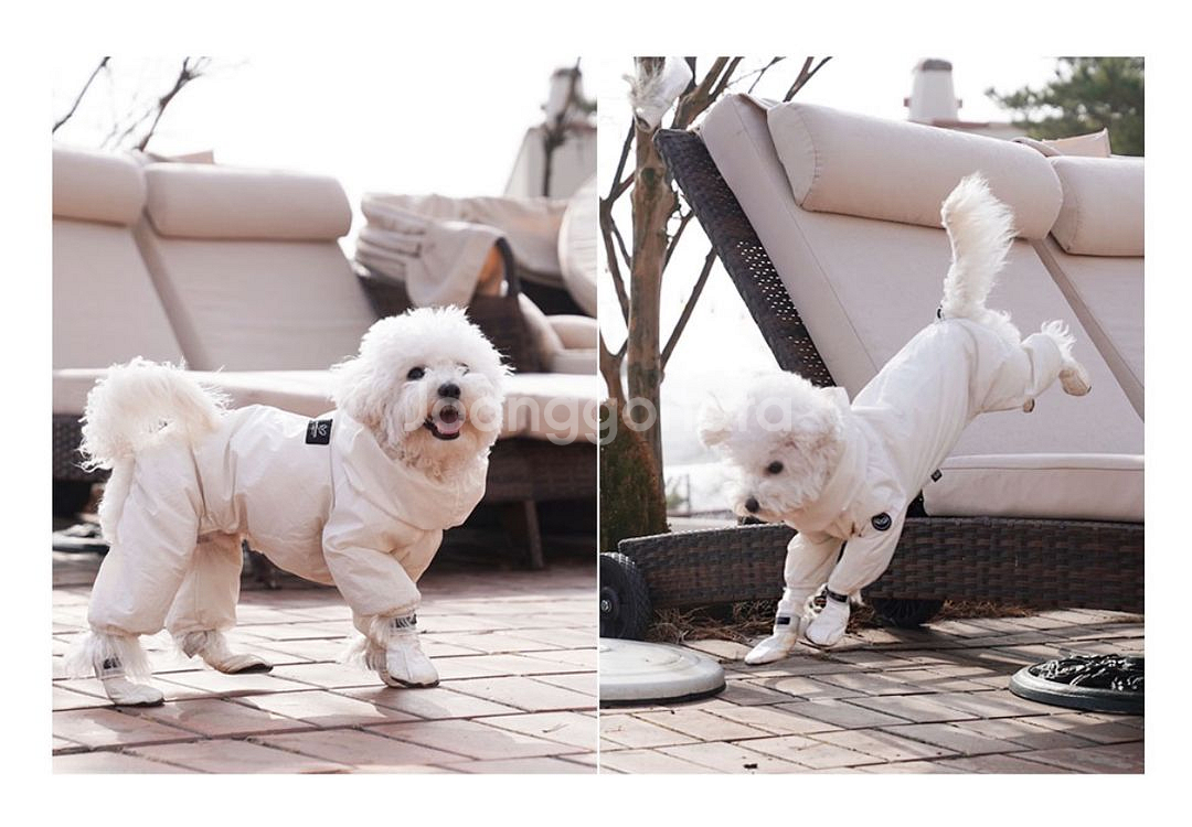 강아지 신발(미사용)--1