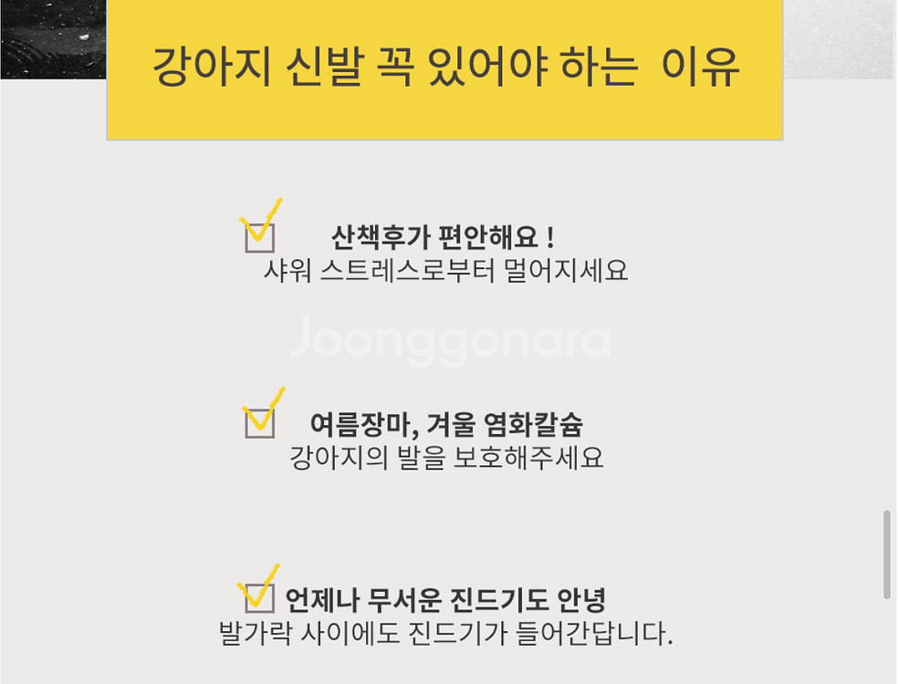 강아지 신발(미사용)--5
