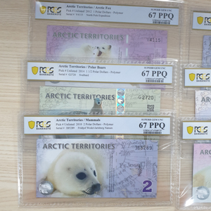 폴리머 북극곰 지폐 PCGS 67등급 6종 세트