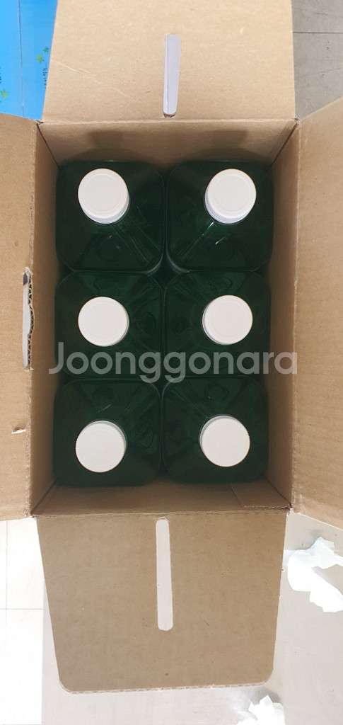 지리산 구례고로쇠 채취판매--4