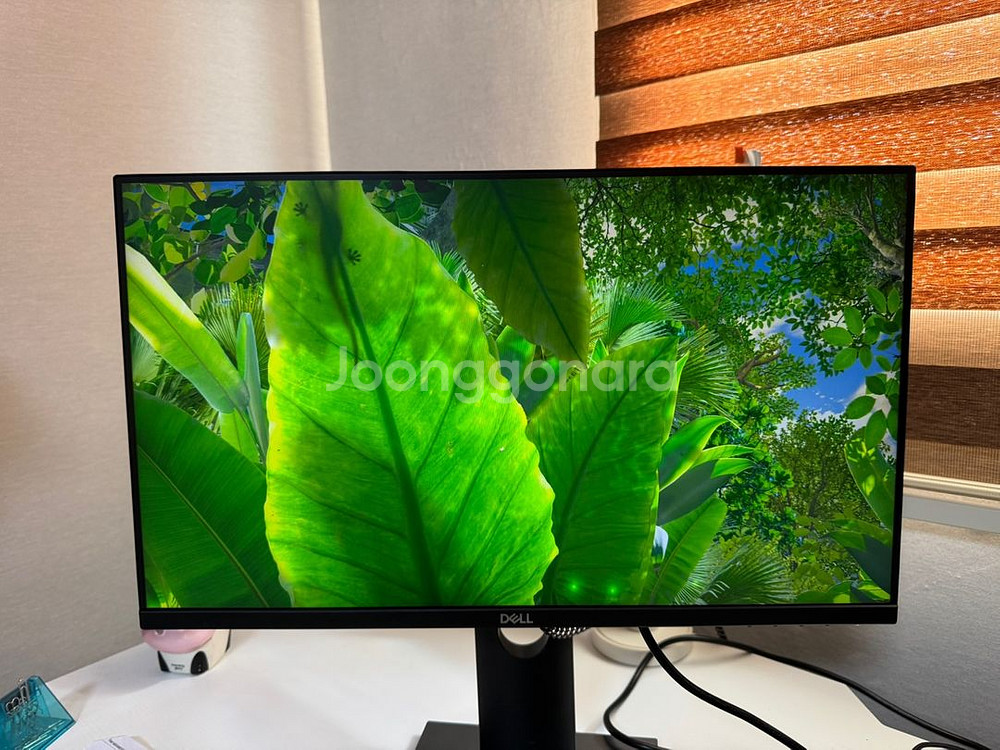 델 23인치 IPS P2319H 모니터 2대 팝니다--6