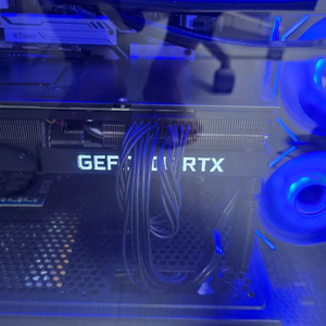 NVIDIA RTX 3080 (S급 컨디션)