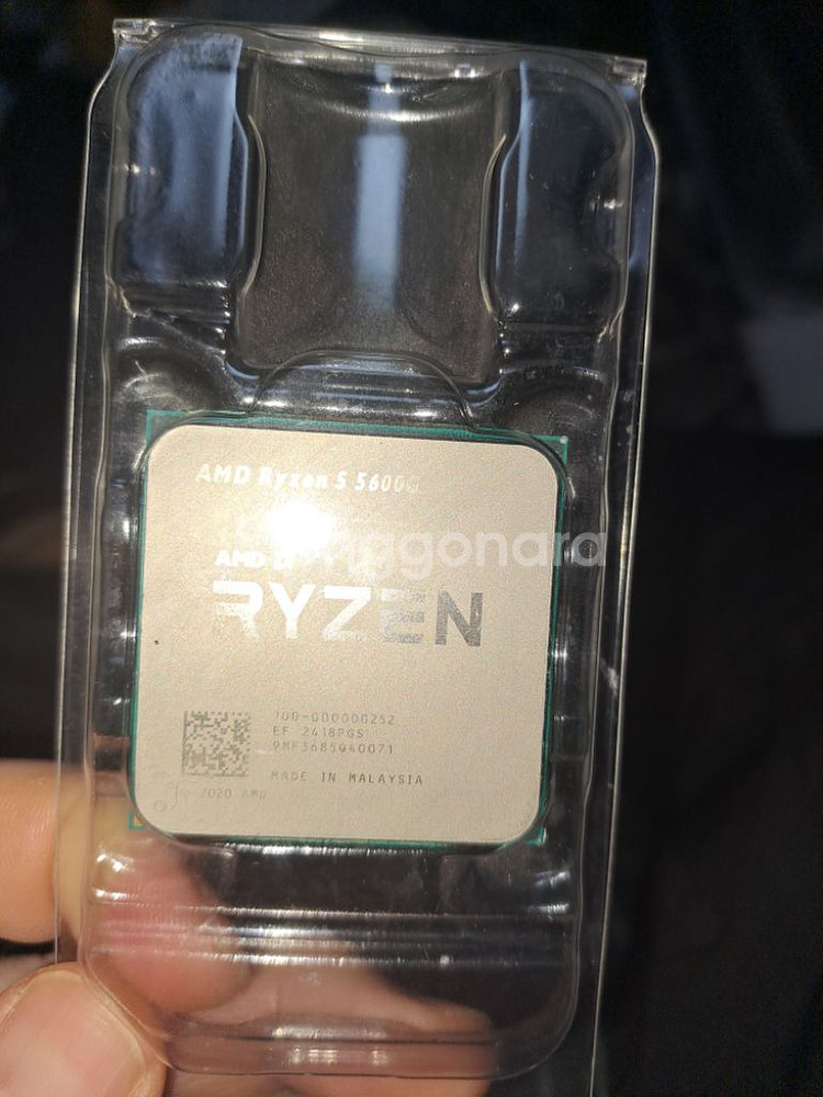 라이젠 5600g cpu ㅍㅍ--0
