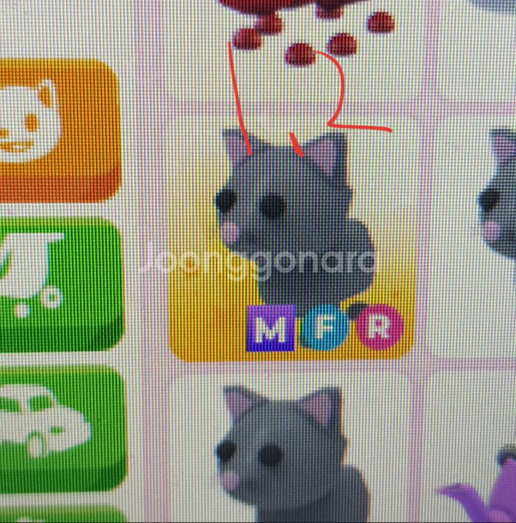 입양하세요 펫 판매--4
