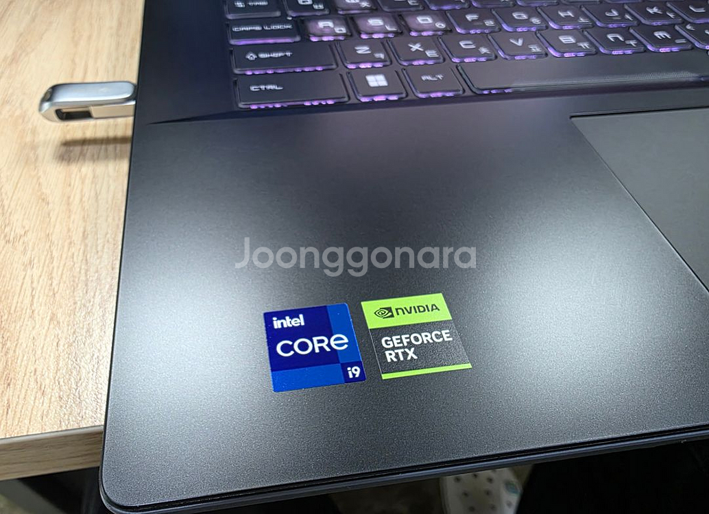 소드 17 HX B14VGKG i9-14900HX--3