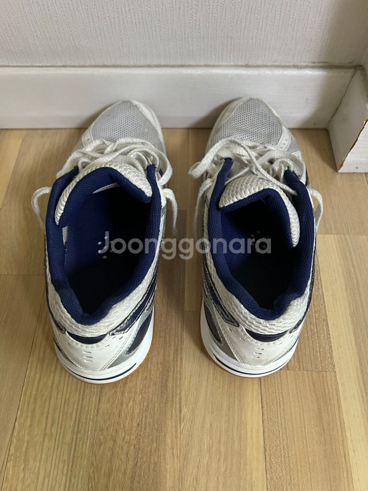 아식스 로테리브레 fl5 260 s급--1