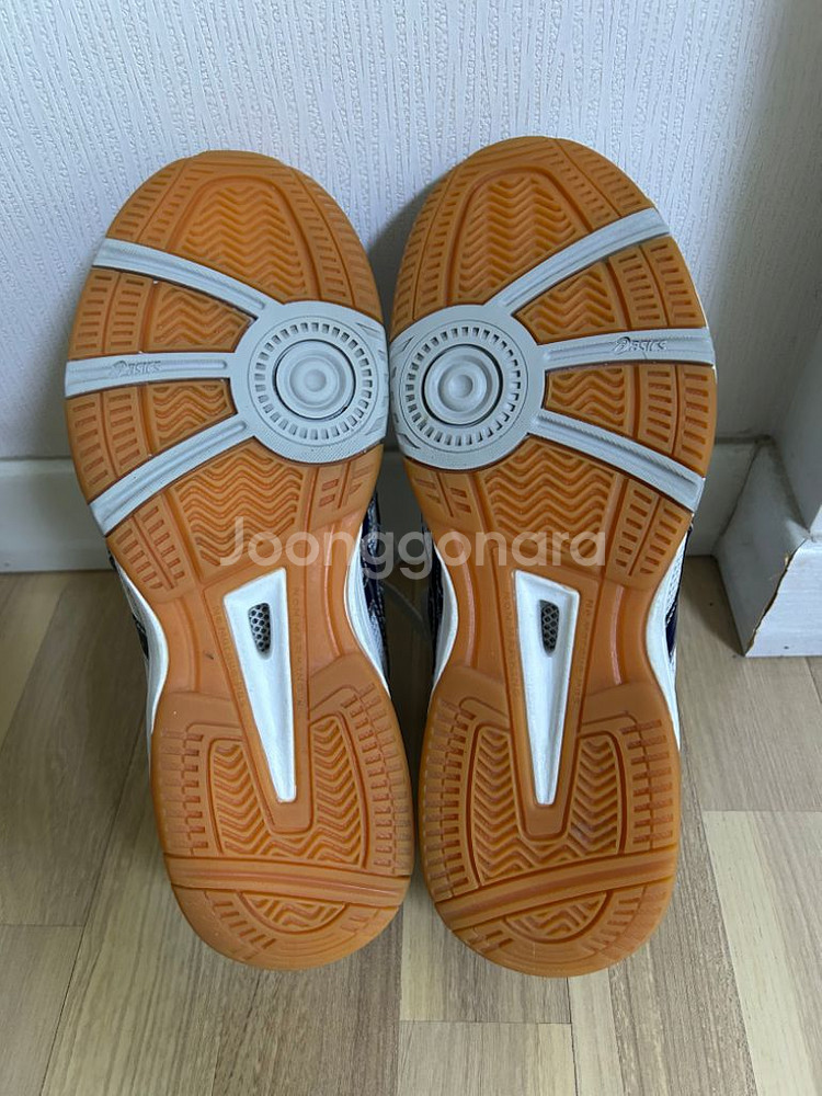 아식스 로테리브레 fl5 260 s급--2