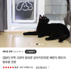 강아지, 고양이 반려동물 펫도어 팝니다