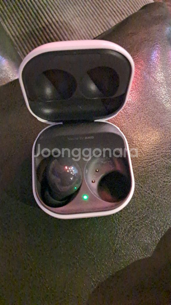 버즈2--1