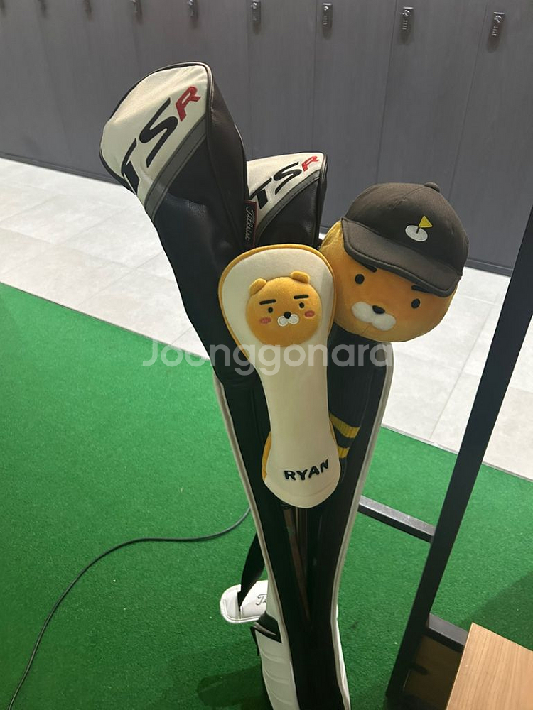 골프채나머지결재건--0