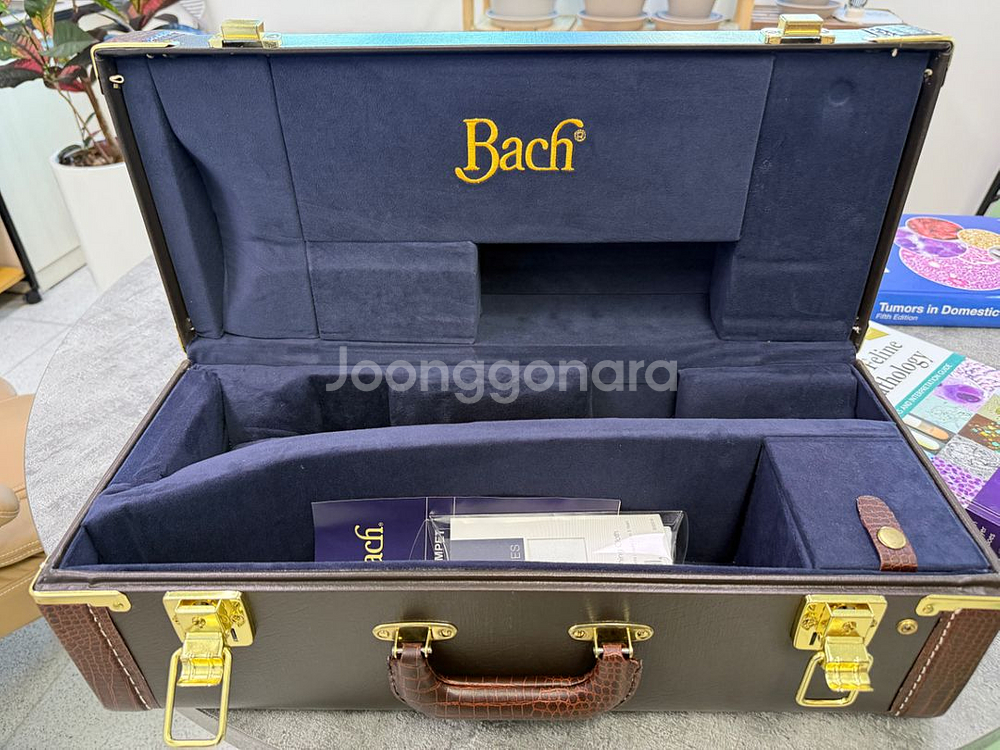 바하 트럼펫 가방--4