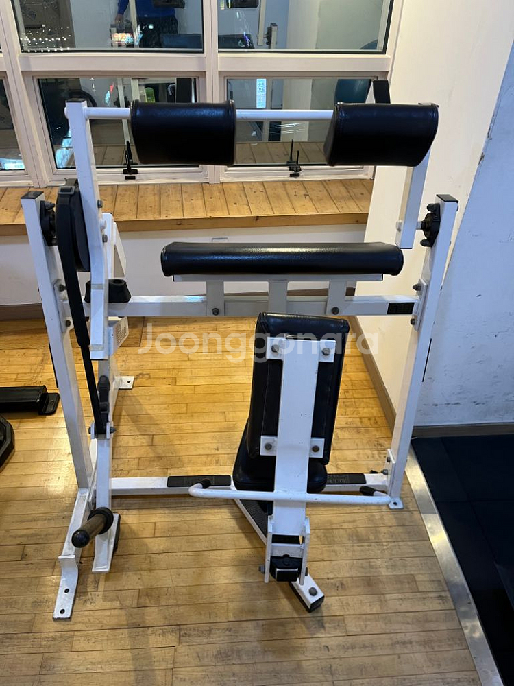 헤머스트렝스 삼두머신 30만--2