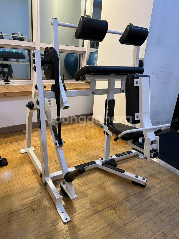 헤머스트렝스 삼두머신 30만--3