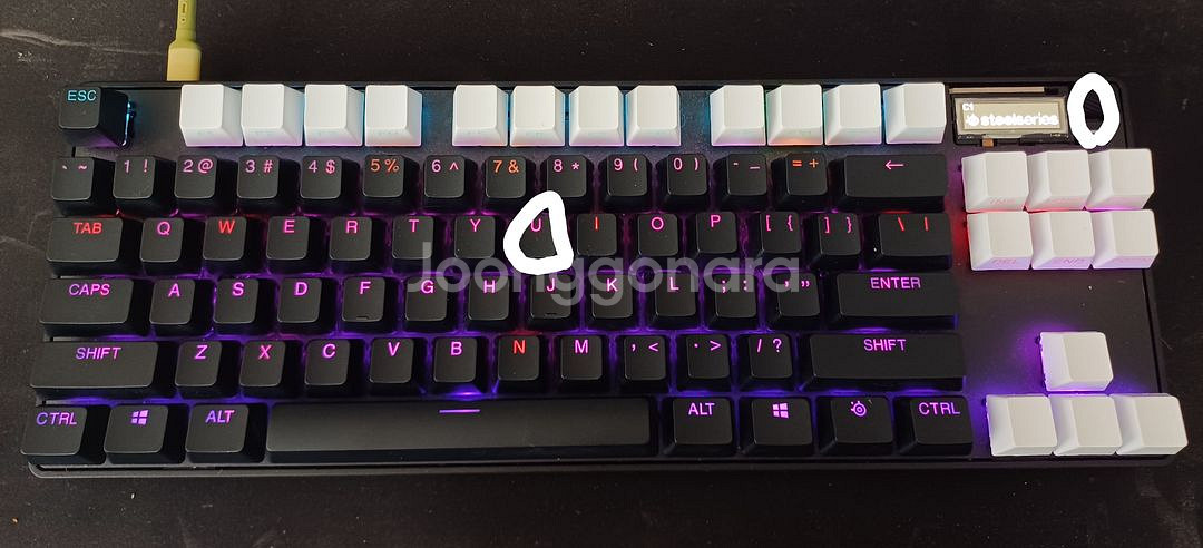 (급처)스틸시리즈 APEX PRO TKL 2023 US--1
