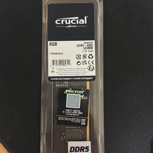 마이크론 crucial ddr5 8g 팔아요