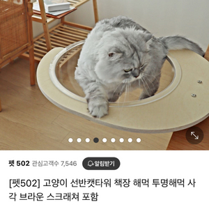 고양이 투명 해먹 캣타워