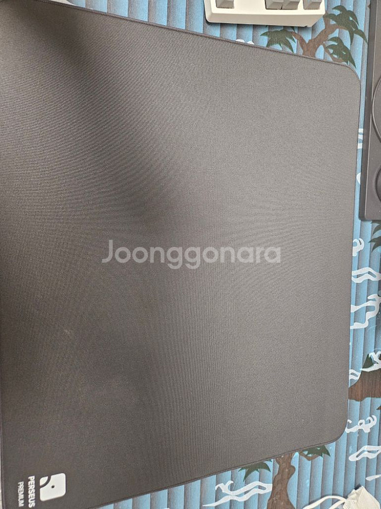 콰오아 페르세우스 팝니다--0