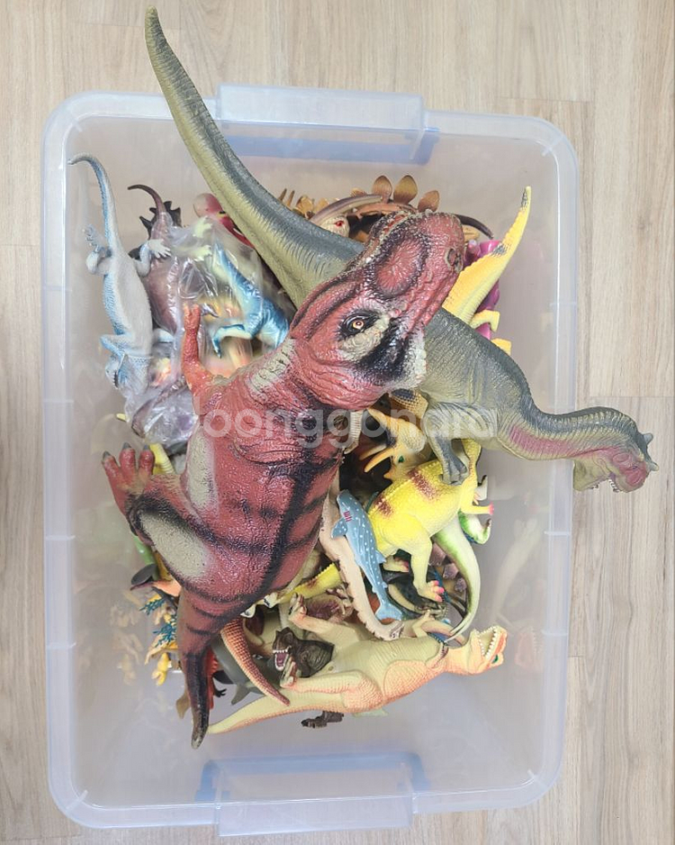 공룡모형 & 공룡팝업북--1