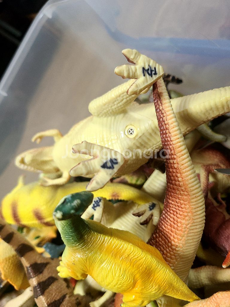 공룡모형 & 공룡팝업북--2