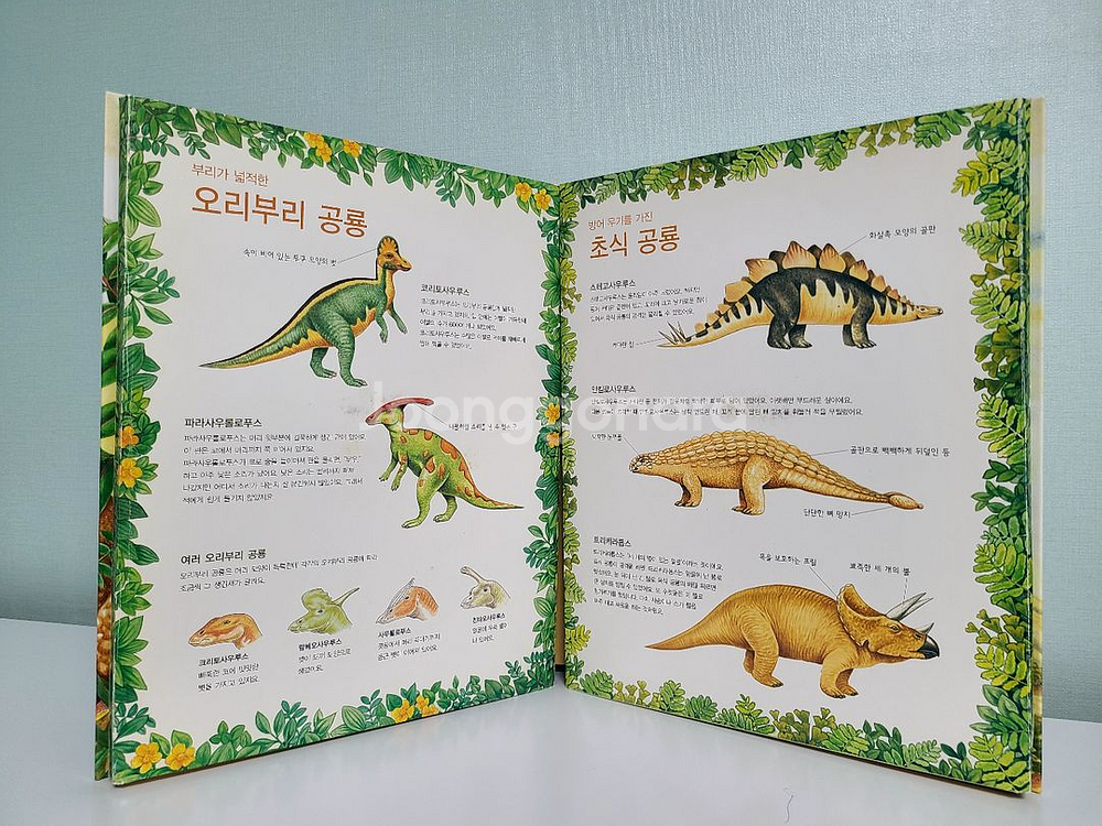 공룡모형 & 공룡팝업북--8