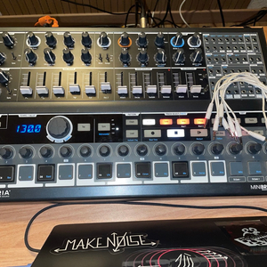 Arturia MiniBrute 2s (박스풀)