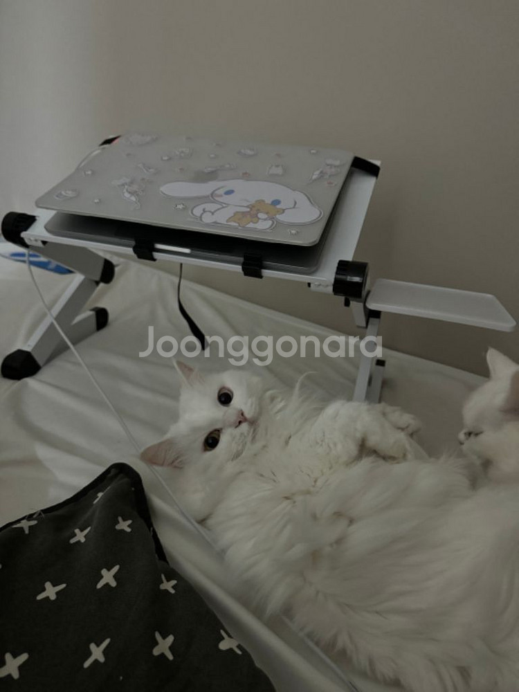 고양이 자동화장실 캣 링크 프로 +보조스텝+리필봉투*3--3