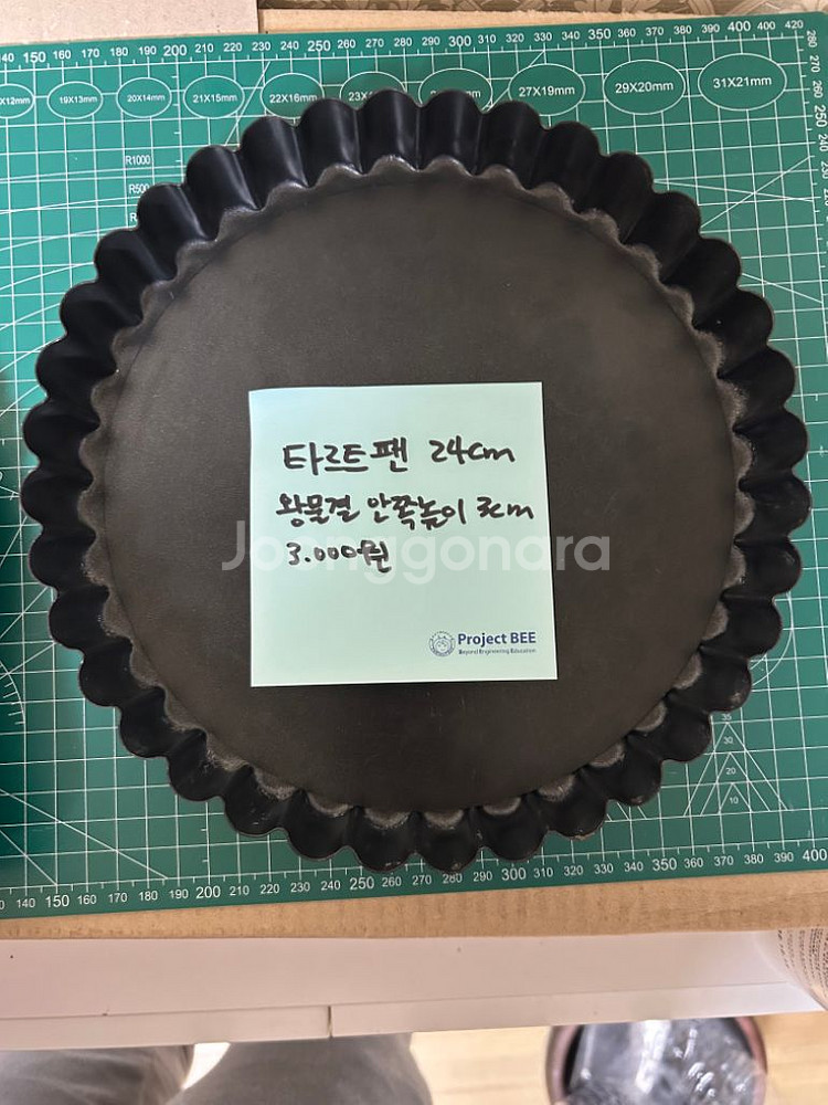 타르트틀--1
