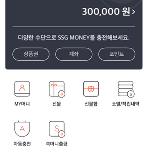 SSGPAY 머니