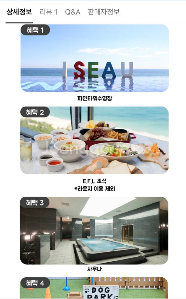 강릉 세인트존스 2/19-20 펫룸 숙박권 풀패키지--2