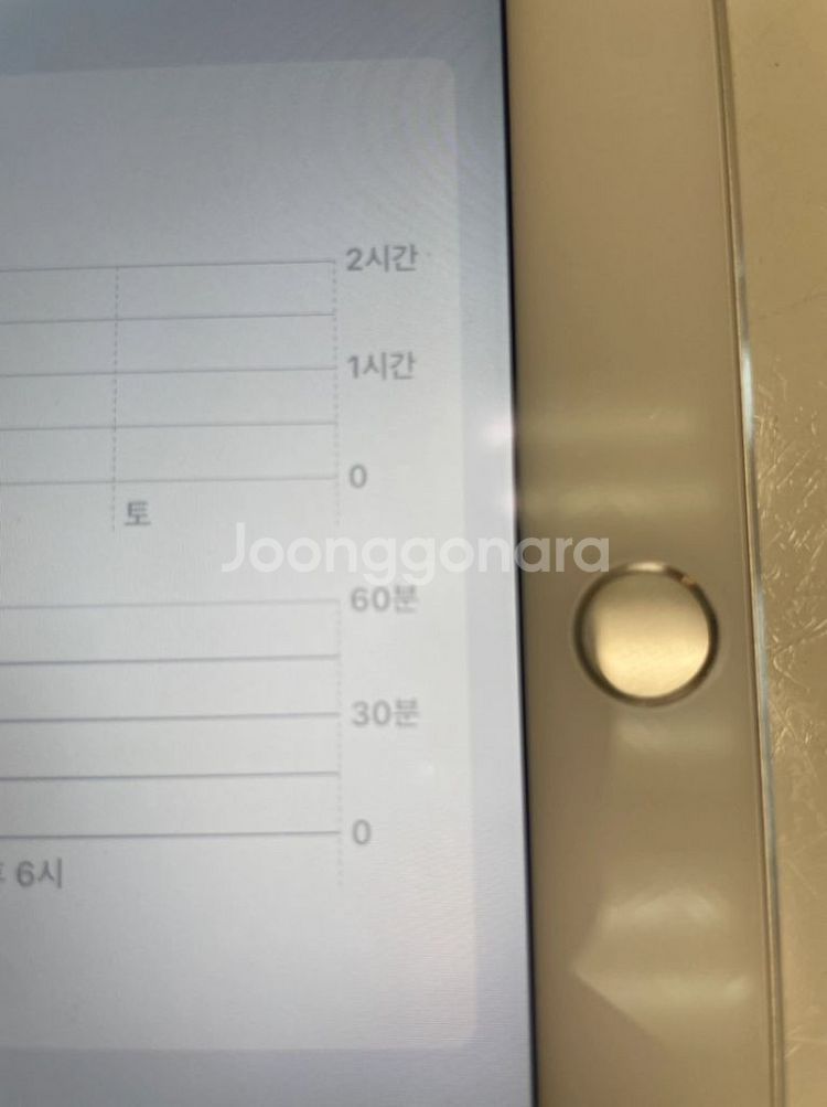 아이패드 프로 10.5 64GB 와파 + 애플펜슬 포함--7