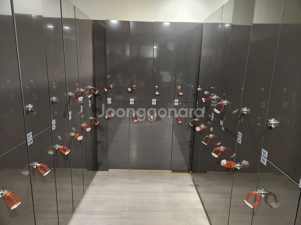 2단 락커 급 처분합니다--1