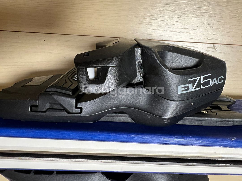Elan Ace RC140 Plate 엘란스키플레이트--5