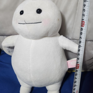 지방이 인형