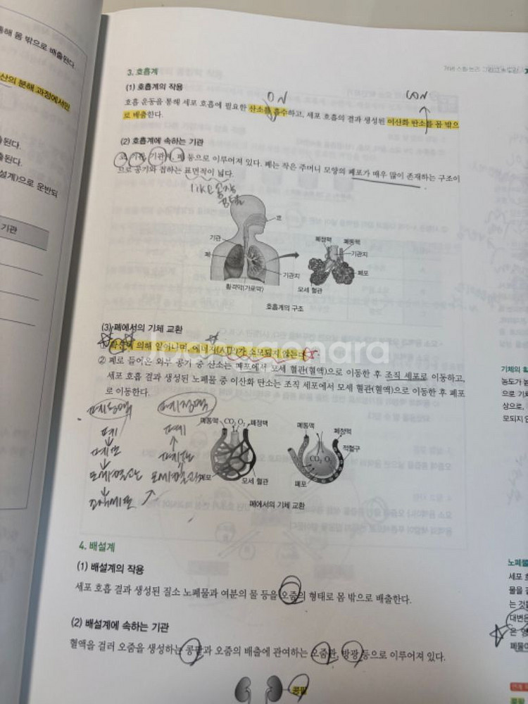 2025 수능대비 한종철 철두철미 개념완성 + 필기노트--3