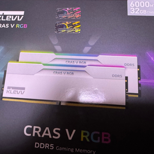 클레브 DDR5 6000 CL30 CRAS V 튜닝램