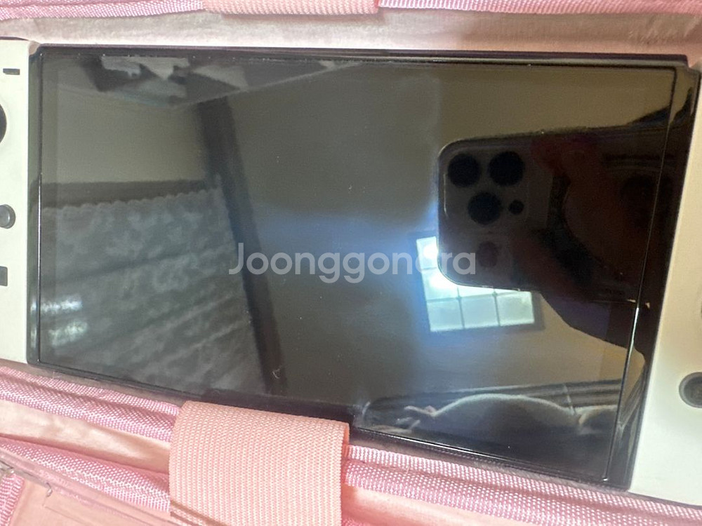 닌텐도스위치oled 배터리개선판+모동숲칩--1