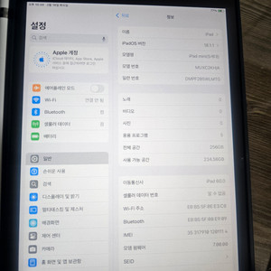 아이패드 미니5 셀룰러 256GB