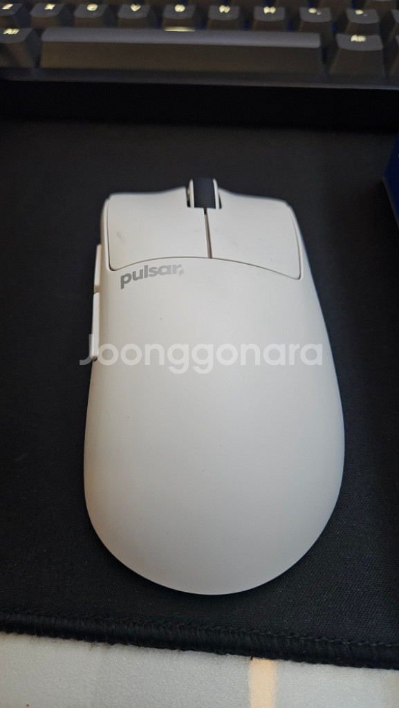 펄사 Xlite V4 미디움 게이밍 무선 마우스 PXL--2