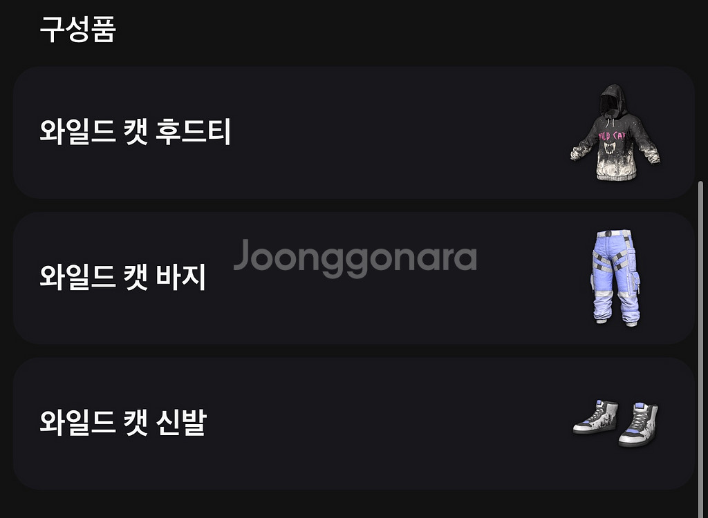 배그 스킨 와일드 캣 세트 판매합니다--1