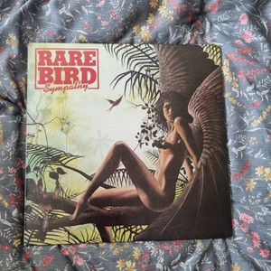 RARE BIRD lp