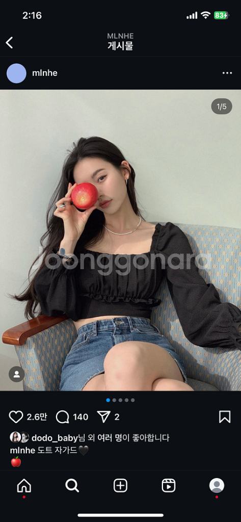 페일제이드 블라우스 / 블랙--0