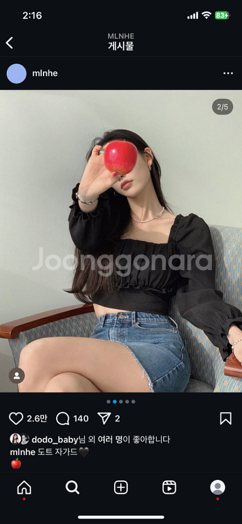 페일제이드 블라우스 / 블랙--1