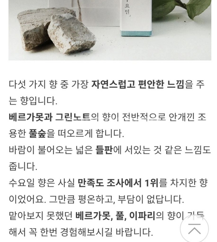 REPLY 디스커버리 향수 오 드 퍼퓸 5종--6