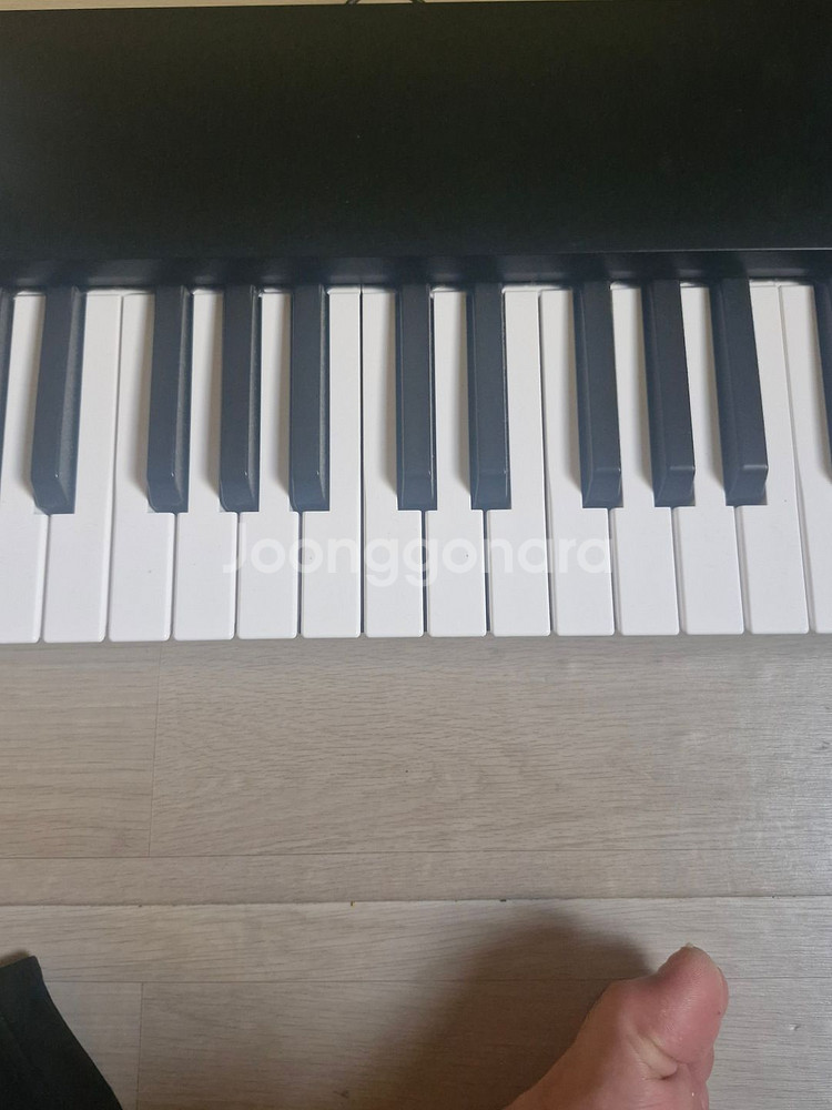 ALESIS V61 mk2 미디건반--2